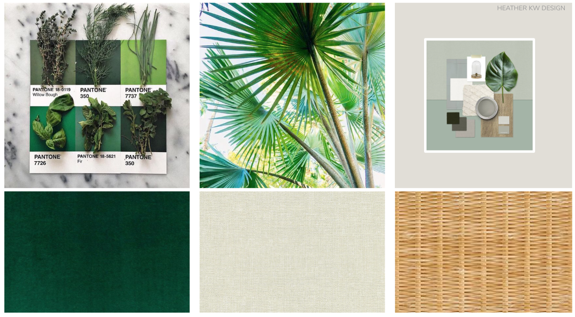 NEUTRAL AND GREEN COLOR THEME - MOOD BOARD - CONCEPT BOARD. RATTAN AND PLANTS